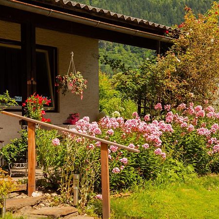 Seeapartments Kaernten بودينسدورف المظهر الخارجي الصورة